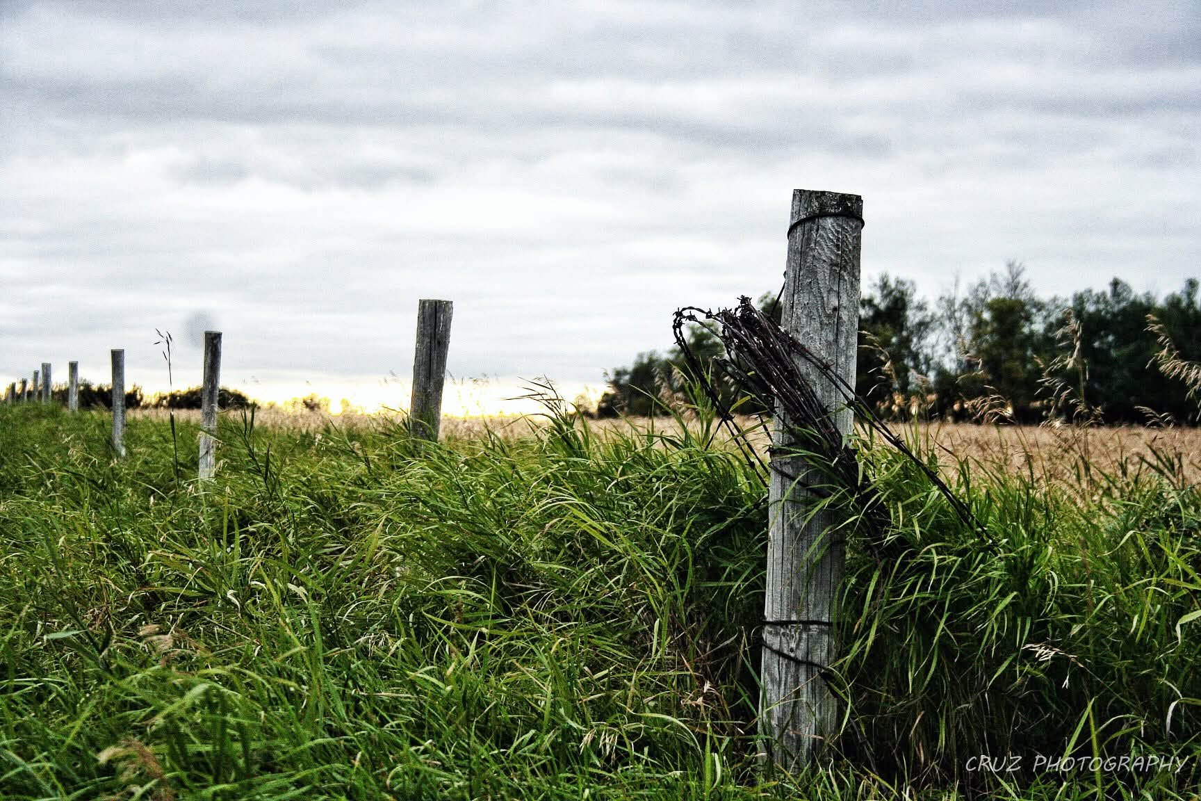A weathered fence line on Clay's family farm beneath a prairie sky.